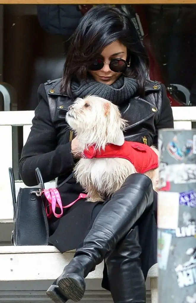 434d0037856b816a9d76263b44378406 (1).webp