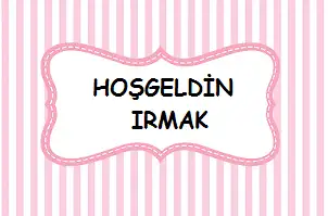 444.webp