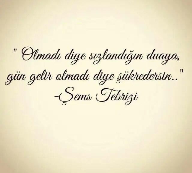 44b64948757ea29af7f14fef8f5b867b.webp