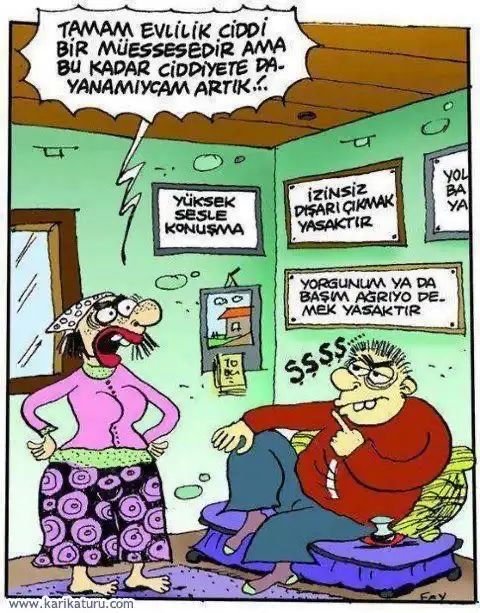 44E03687-EE22-4760-B2A1-50D998DF1F09.webp