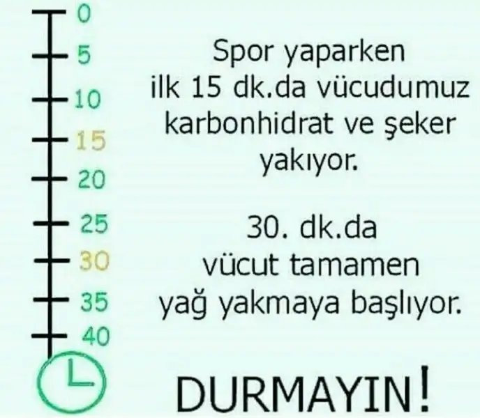 45f00e7d14982b97d9c57bb29bafa507.webp