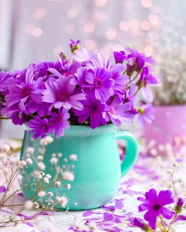 462785592cb1c5b2009943e32f11cc02.webp