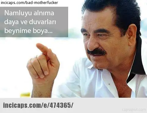 474365.webp