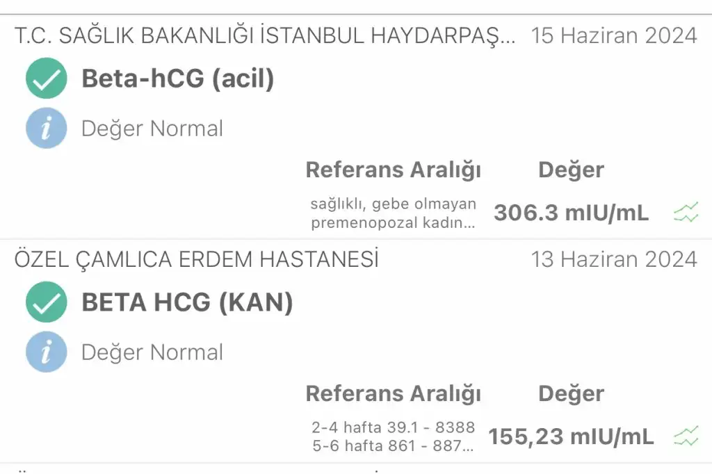 47CE71F8-785D-40D9-8FBD-036CBDE6A6A0.webp
