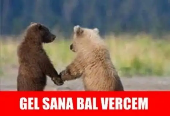 4818aac2ee888175950e5655ae253385_d580.webp