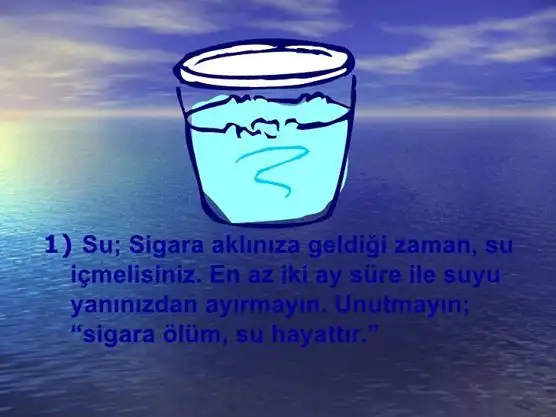 482927_227946637336233_157216589_n.webp