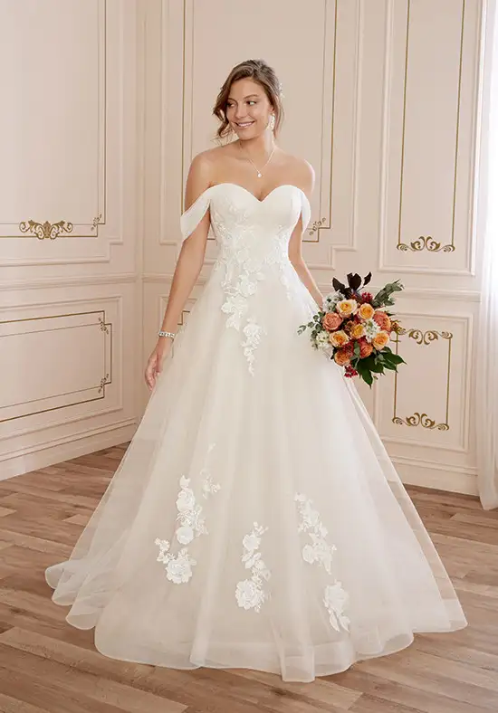 485953--mfvo485953.webp