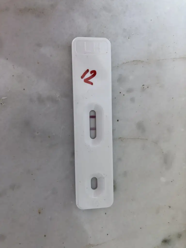 48C338BE-2E22-40F5-8CC6-2AB51EC867BE.webp