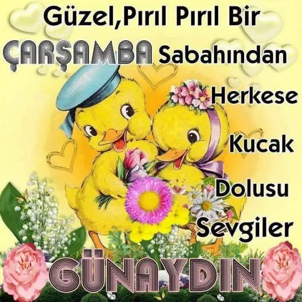 498d086b0266421ed59e5e4088a34a26.webp