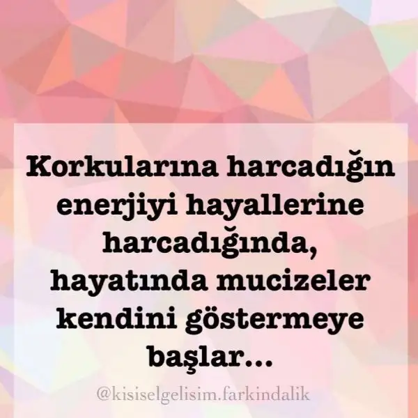 499B1159-FD34-4F9A-AD43-7B3554E41283.webp