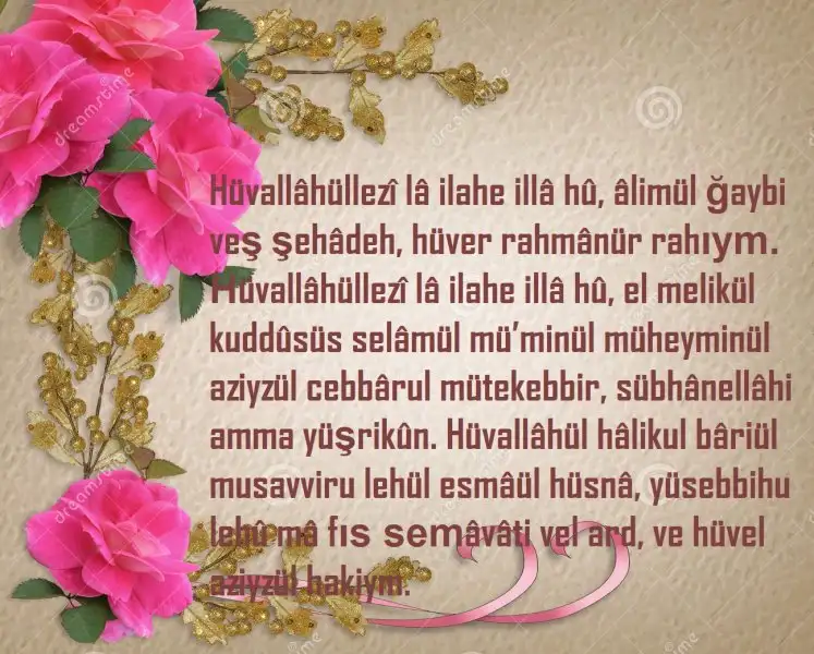49f17210a6cd72727160fa7a8a17bc5b.webp