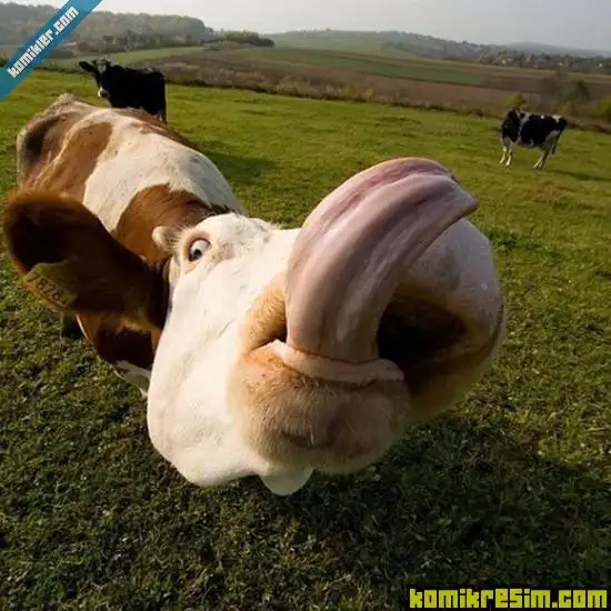 4ac9e10ad08c52d042b38eda6d96a8eb.webp