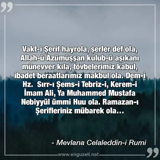 4C03789E-04D5-4AB0-B7C8-F262250C3C51.webp