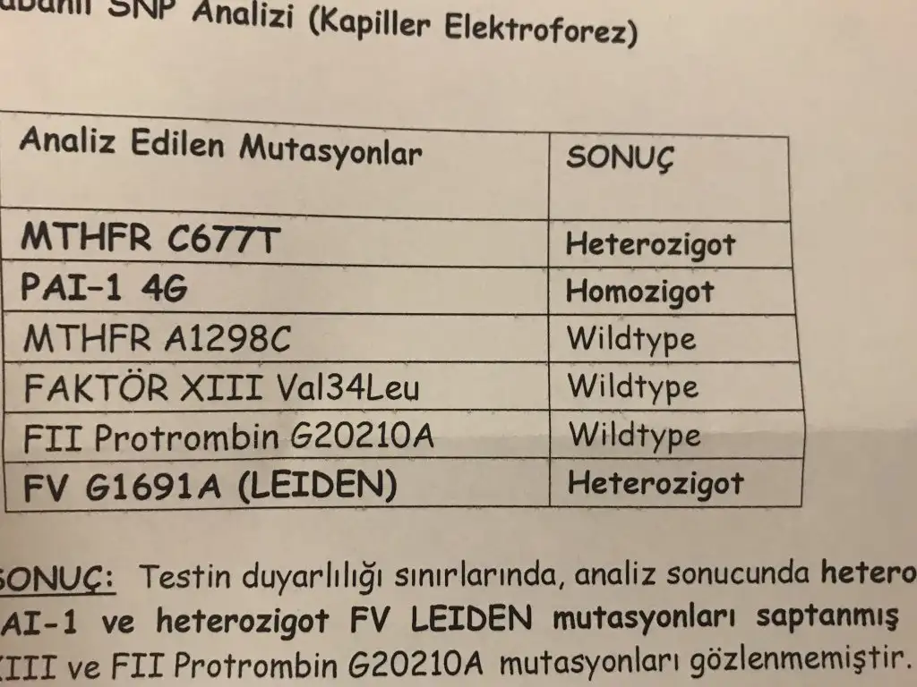 4C92E2B0-FD2A-411A-B24A-A7E041025D04.webp