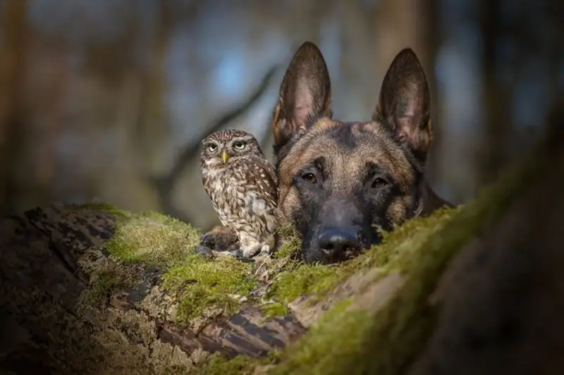 4ca5ae0f74d44c40a9e3377940be9d31.jpg.1000x0_q85_autocrop_crop-smart_upscale.webp