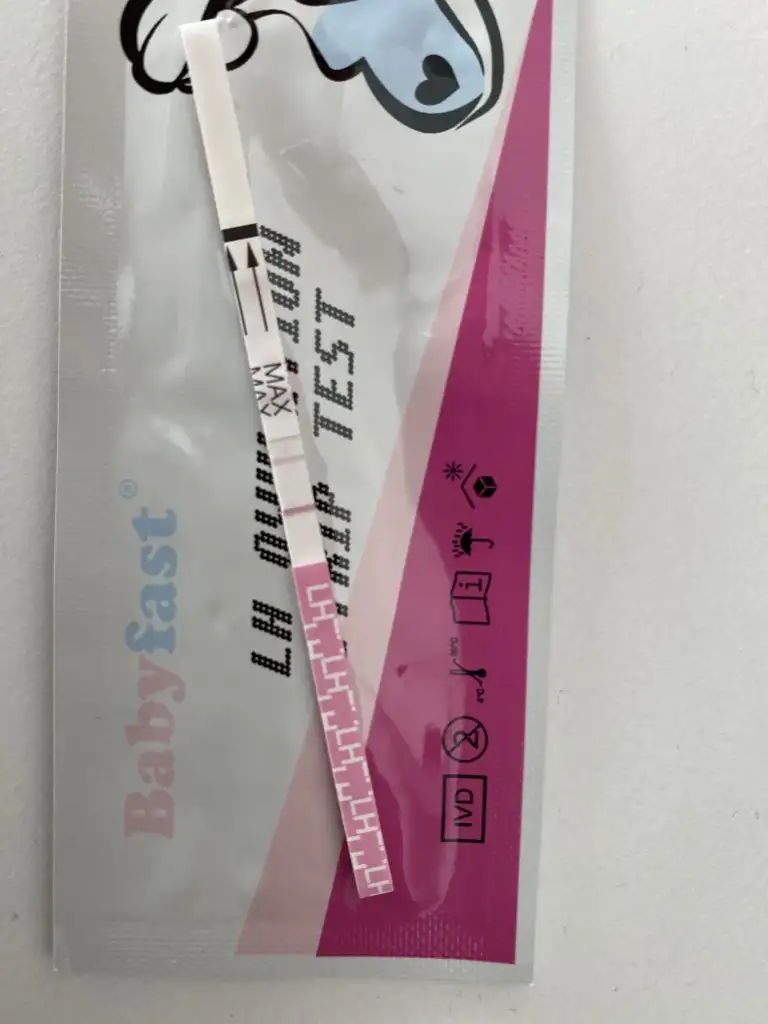 4CEB75EF-4E95-4142-A112-68658BE2554D.webp