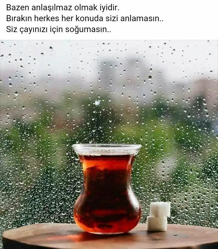 4d2d63fecffc9e5c3e93bad5106b6798.webp