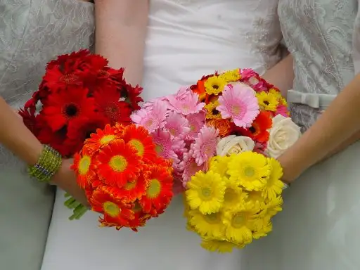 4d909e8e0ea59.webp