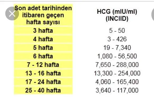 4E6F4FA8-4FF2-4A15-8D54-7A73B1A0D651.webp