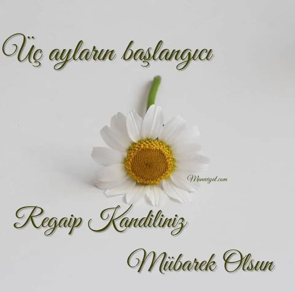 4faa9851-fc59-468d-9b8c-906fd6e96f6c.webp