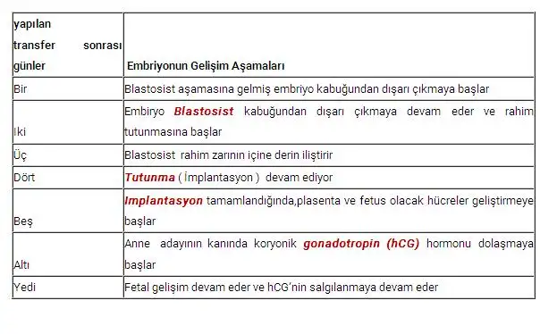 5. gün emb..webp