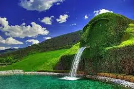 5.webp
