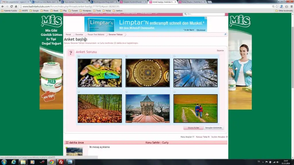 5.webp