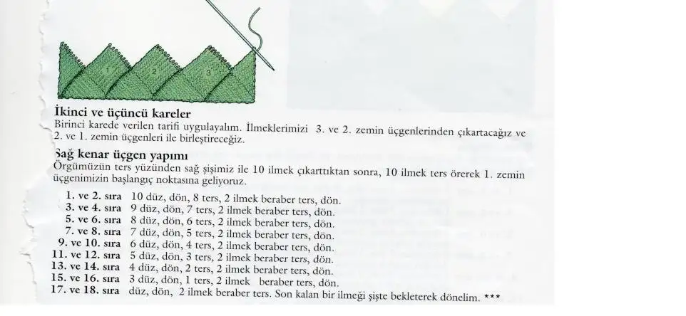 5.webp