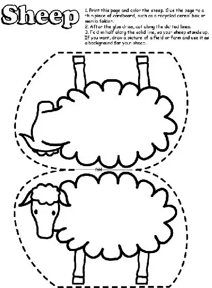 5.webp
