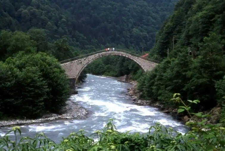 5.webp