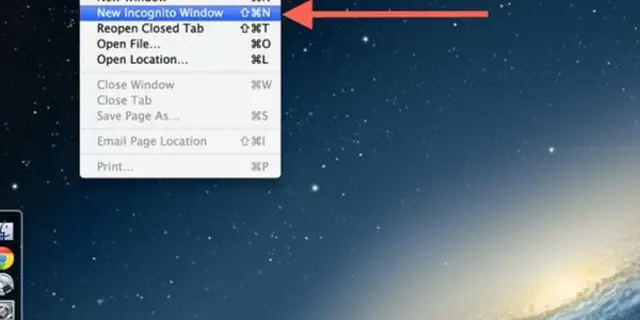 5.webp
