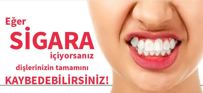 5.webp