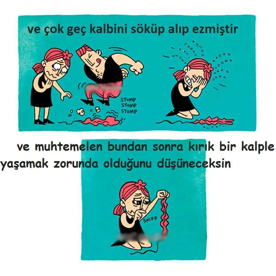 5.webp