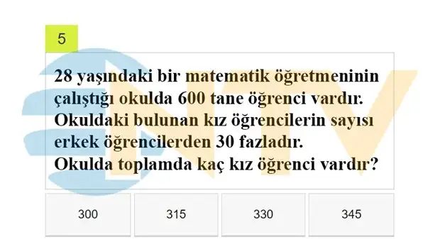 5.webp