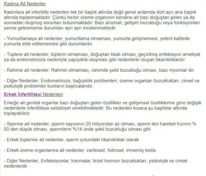 5.webp