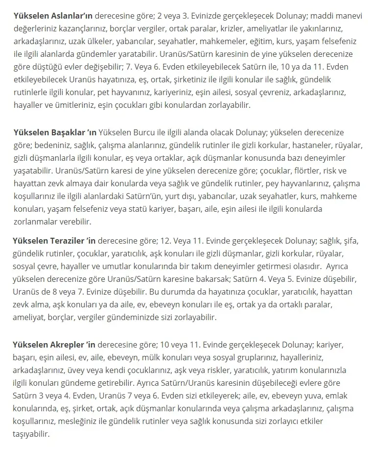 5.webp