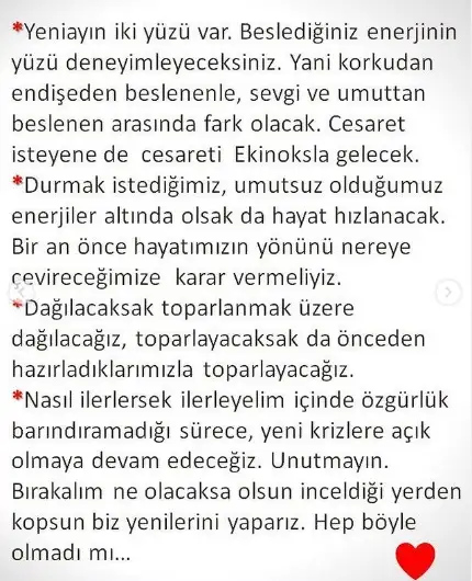 5.webp