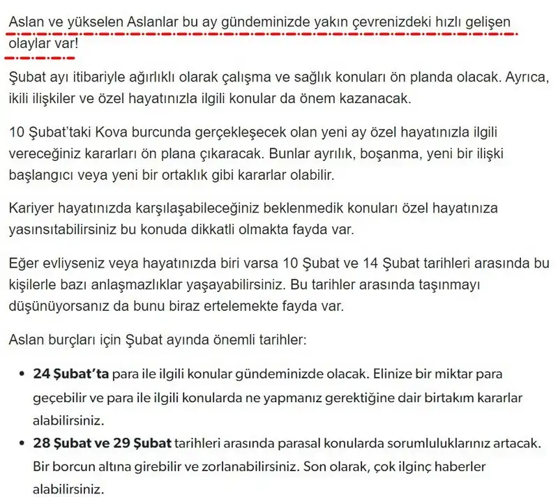 5.webp