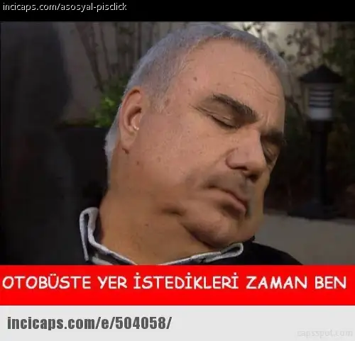 504058.webp