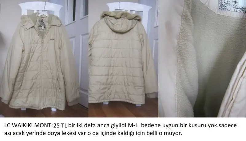 52.webp