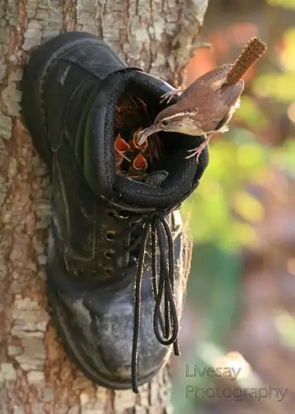52ed378229404d218cf3664623dda78a.jpg.700x0_q85_autocrop_crop-smart_upscale.webp