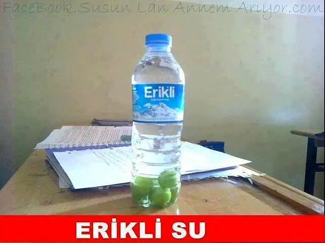 53f226f2c816e79c774540ec.webp