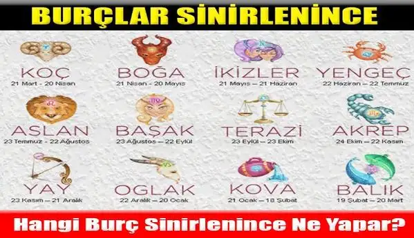 548d50a9f493b80b78bfb0ae.webp