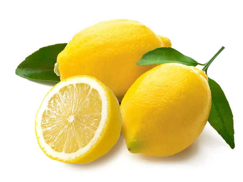 549a72da83ded.webp