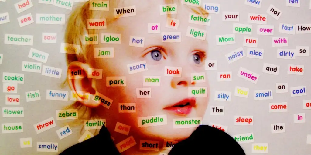 54f8832f1bc4b66640300aca.webp