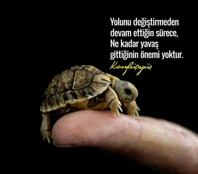 550295_442478959172094_853222292_n.webp