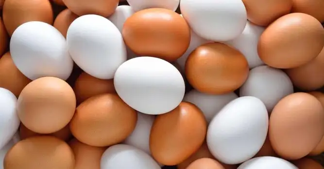 55_white-brown-eggs-fbjpg.webp