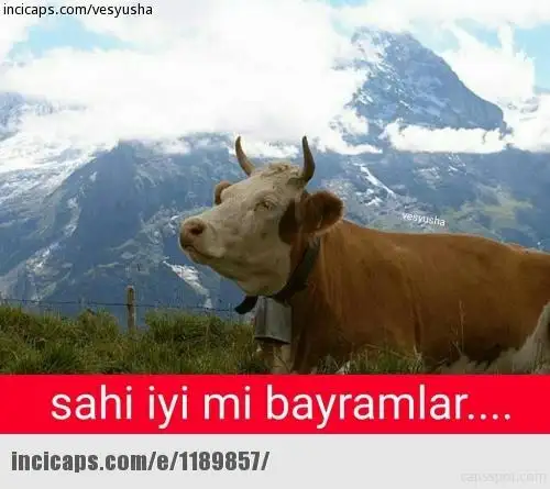55fdc0826ce43623e89564ca.webp