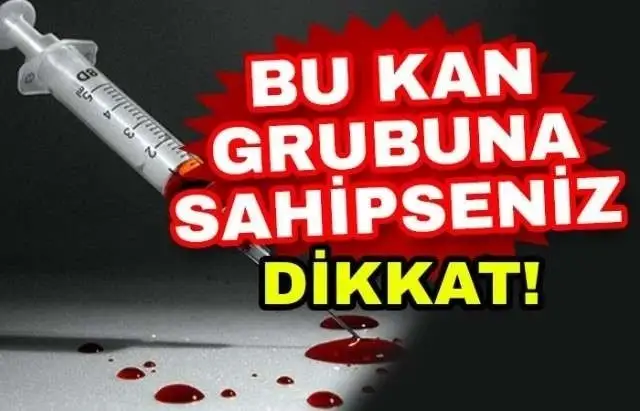5629.webp