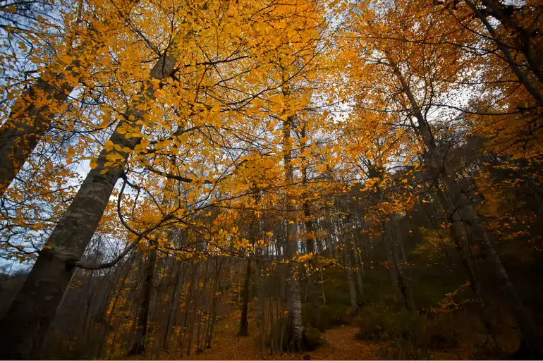 565d69ae18c7736fb89be001.webp